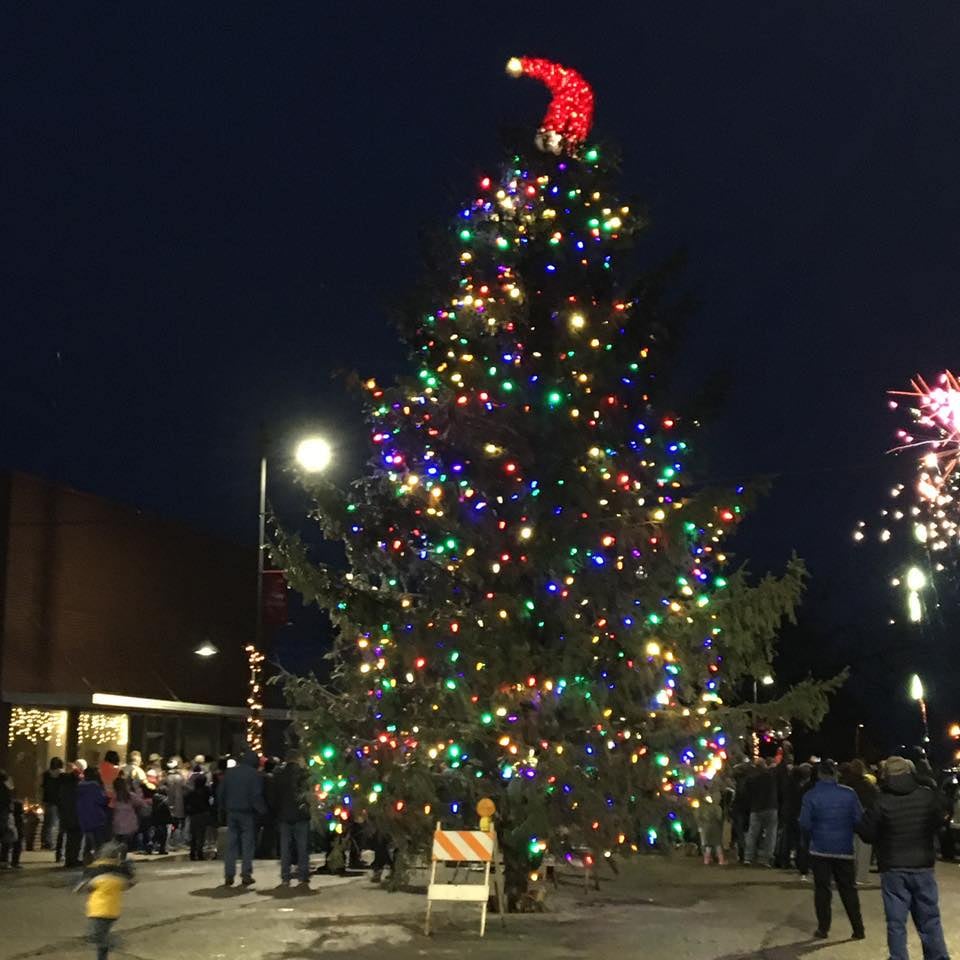 Tree with lights on Main Street 